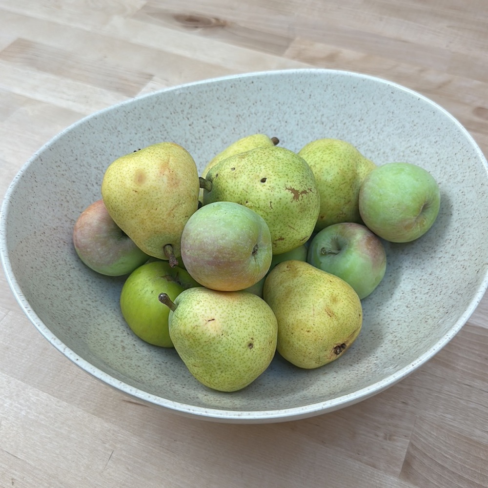 Tan Speckled Large Saddle Bowl